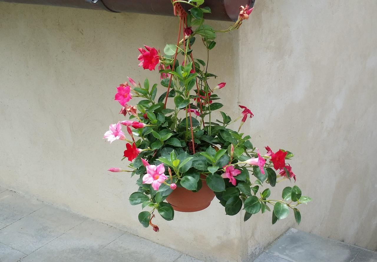 Frühstückspension Le Torri Di Firenze